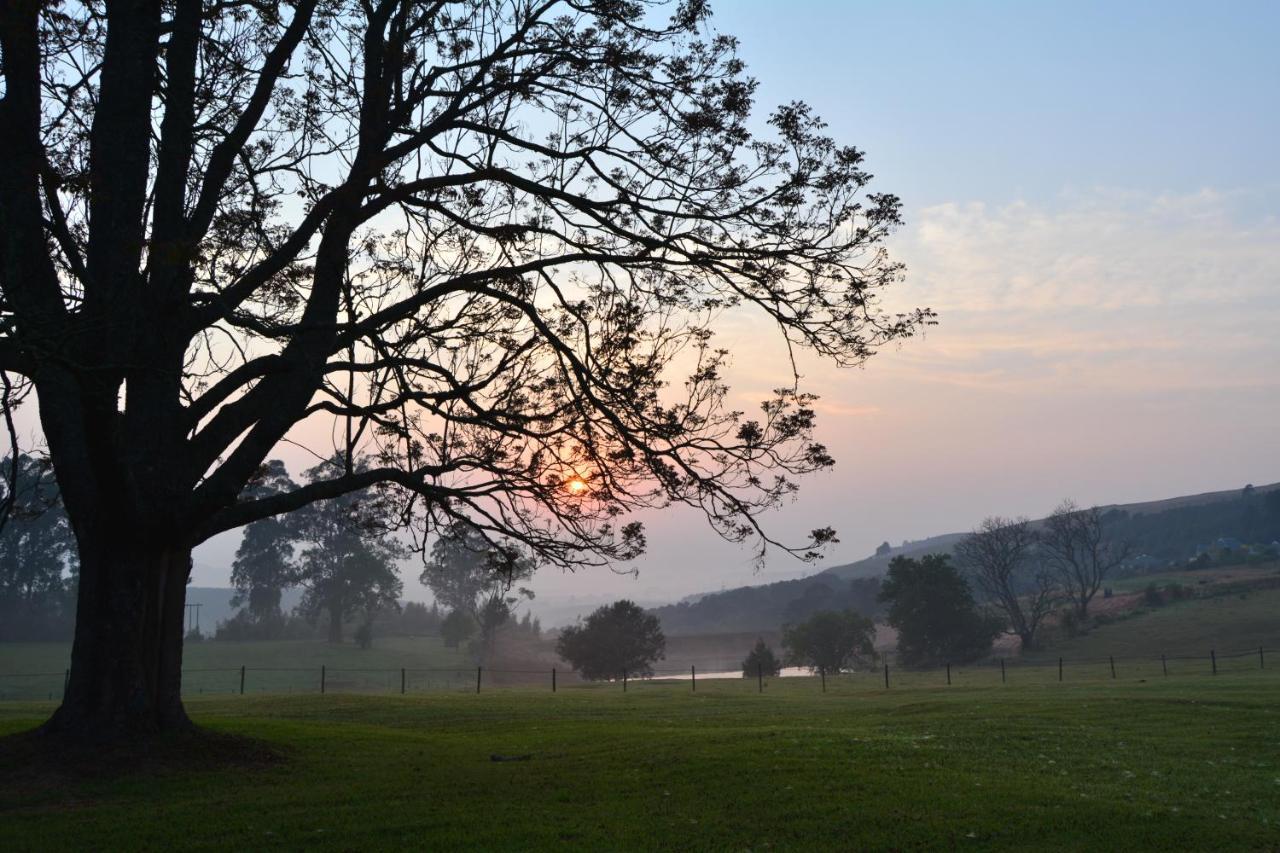 Halliwell Country Inn Howick Esterno foto