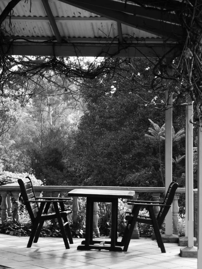 Halliwell Country Inn Howick Esterno foto